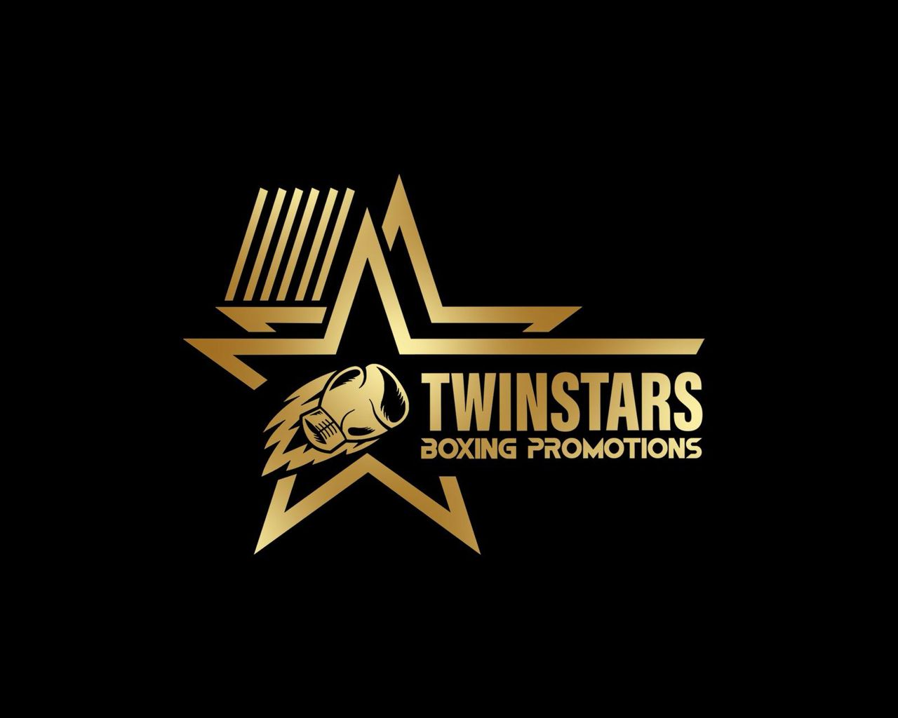 Twin Stars Boxing Promotions Logo